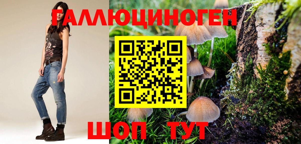 Дербент  Псилоцибиновые грибы Magic Shrooms  Вход с VPN  Галлюциногенные грибы прущие грибы 
