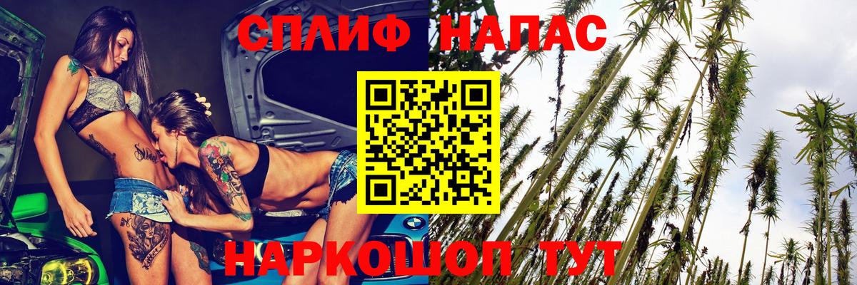 Конопля гибрид Дербент
